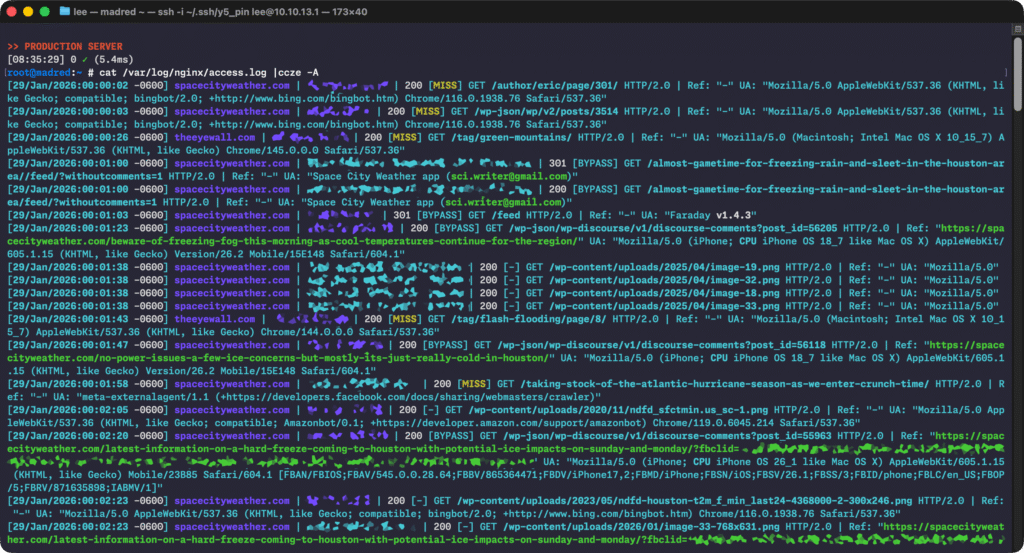 Screenshot of nginx logs, colorized by piping through ccze