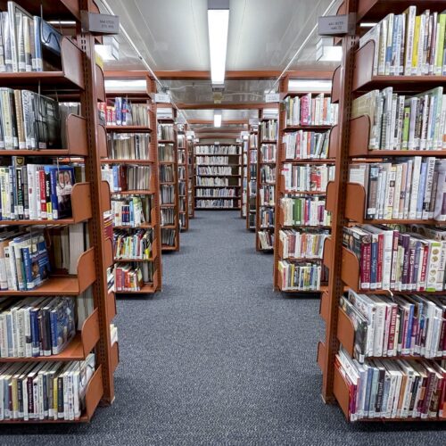 Judge orders Anna’s Archive to delete scraped data; no one thinks it will comply