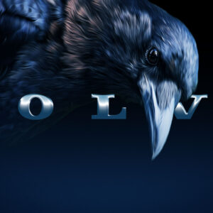 A raven stands over the word VOLVO
