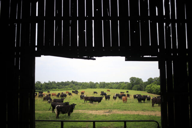 Data center builders thought farmers would willingly sell land, learn otherwise