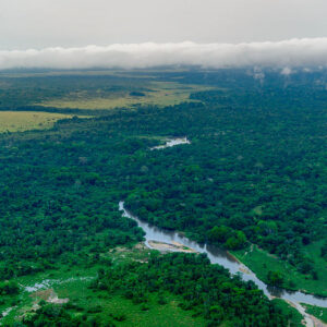 View of a river running through lush, tropical forests.