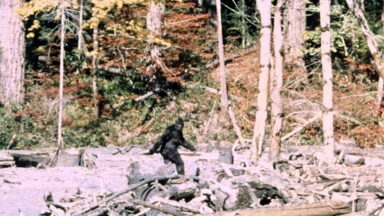 Frame capture from Bigfoot film of 1962
