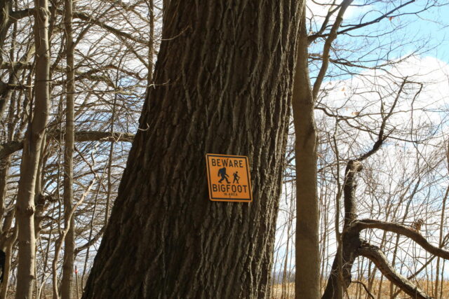 Biển báo Bigfoot trên cây