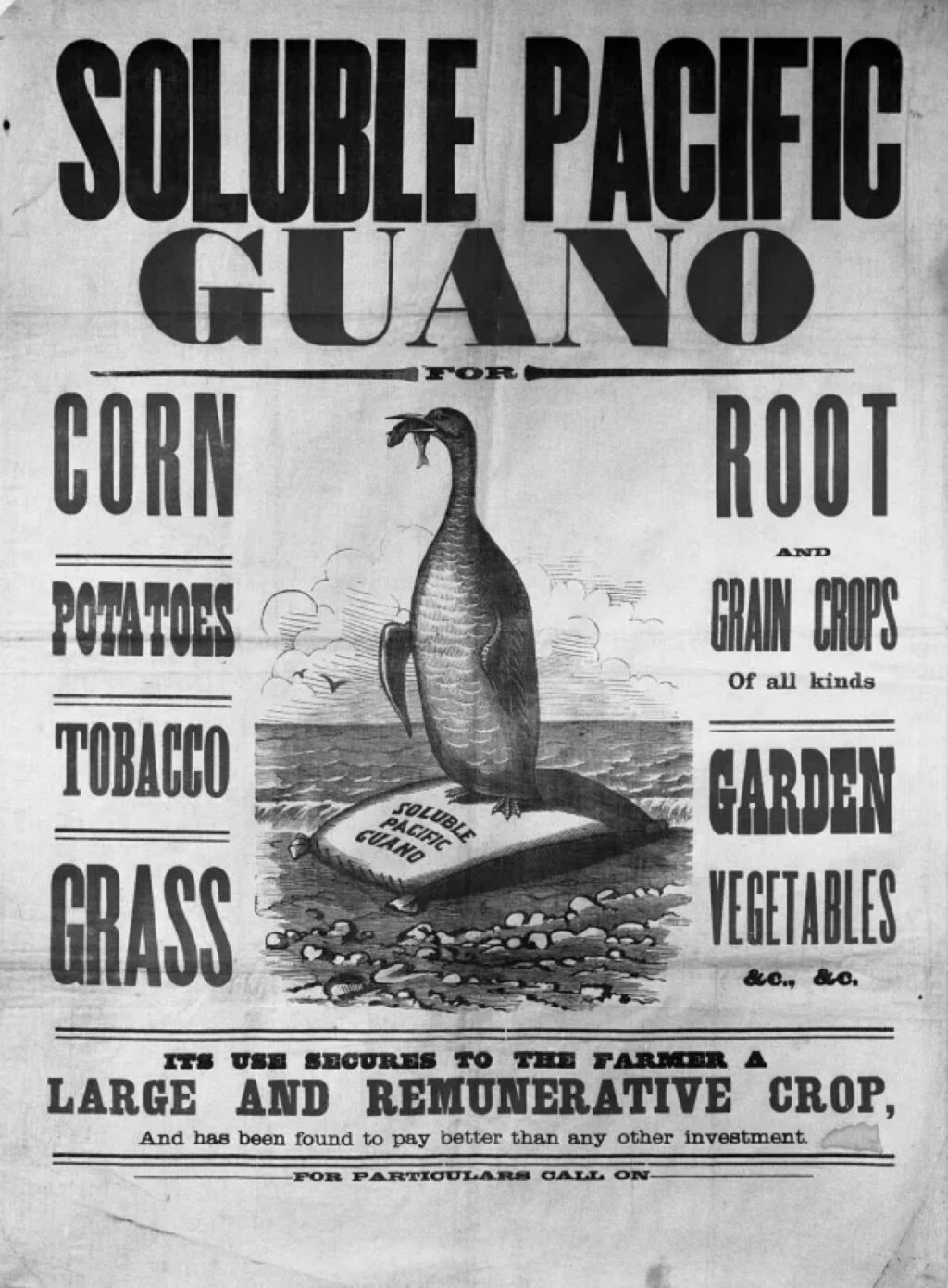 19th century poster advertising the sale of Pacific seabird guano in the US.