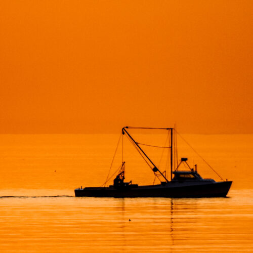 Fishing crews in the Atlantic keep accidentally dredging up chemical weapons