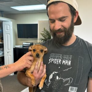 A bearded man wearing a Spider-man t-shirt and a backwards baseball cap holds a small dog with his right arm.
