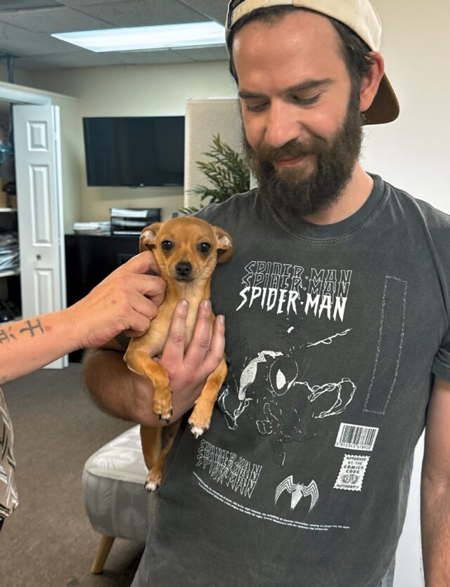 Lawsuit: Google Gemini sent man on violent missions, set suicide countdown