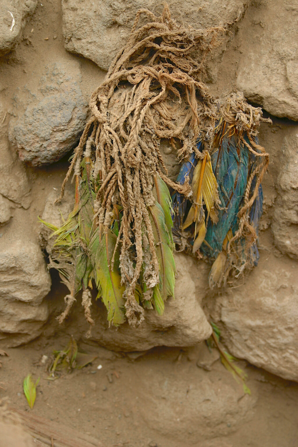 photo of part of a headdress with blue and yellow feathers attached