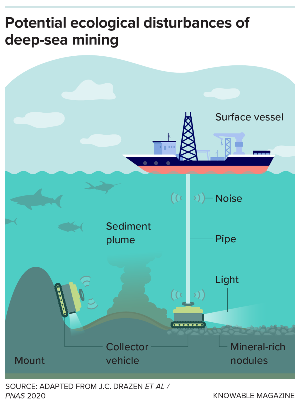 g-eco-disturbances-sea-mining-1024x1374.