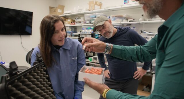Dr. Katherine Solari and Dr. Dmitri Petrov, both of Stanford University, receive DNA samples of a ghost elephant from Dr. Steve Boyes