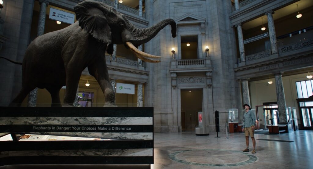 Dr. Steve Boyes stands in the rotunda of the Smithsonian Museum. He confronts for the first time in his life the largest elephant ever killed