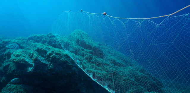 Image of a gill net under water