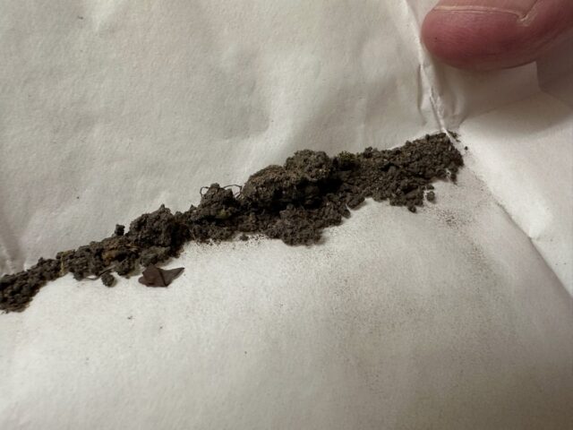 The tiny bits of dirt and moss collected in Burr Oak Cemetery in 2009, which were a key piece of evidence in the criminal case.