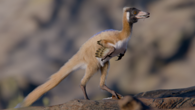 Artist's conception of a small dinosaur covered in fluffy tan feathers.