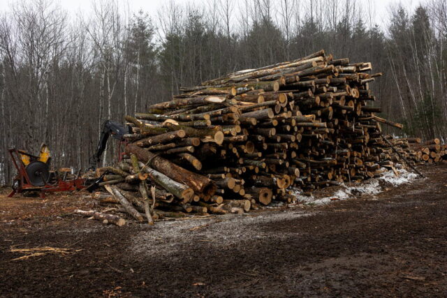 A pile of logs