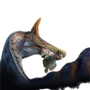 Artist's conception of the new Spinosaurus species, showing long, narrow jaws and spike on the top of its head.