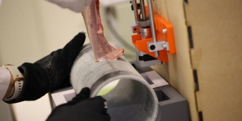 Closeup of a test tongue sticking to a cold metal surface