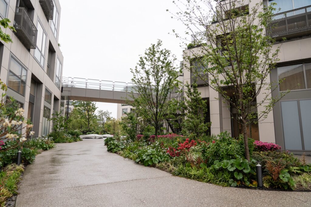 A pedestrian walkway