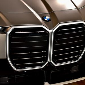 BMW 7 Series grille
