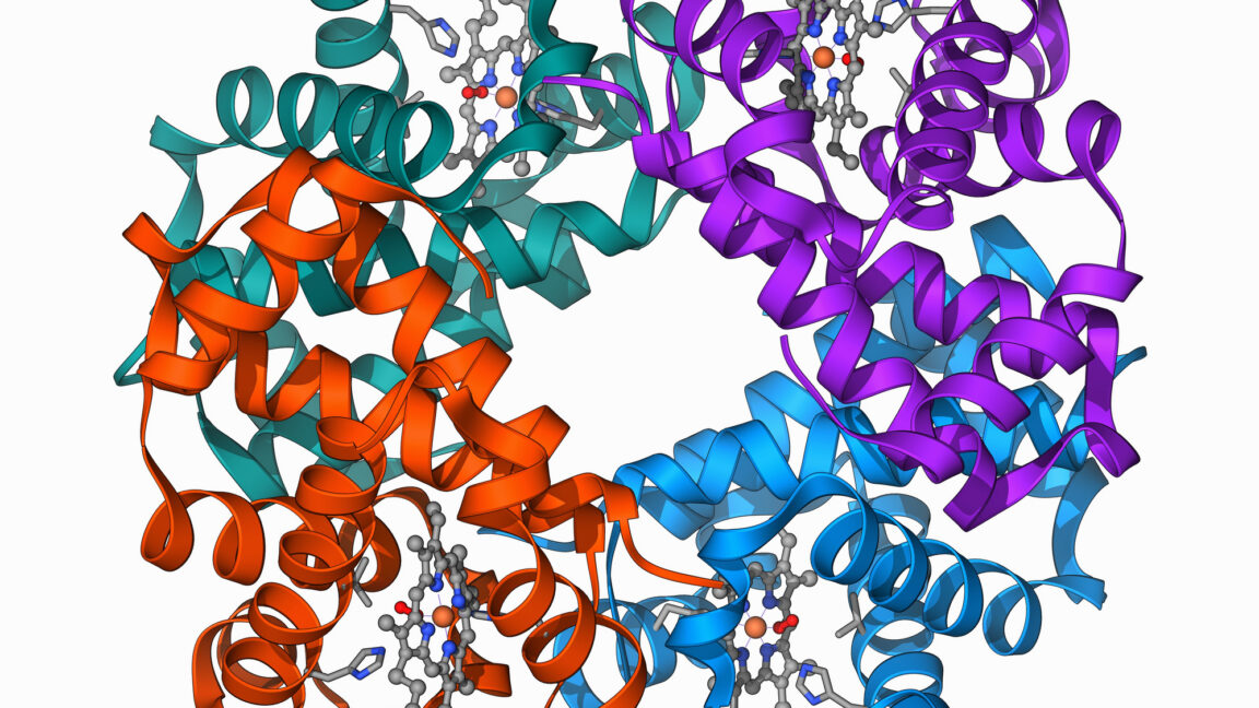 Clinical trial shows gene editing works for β-Thalassaemia, too