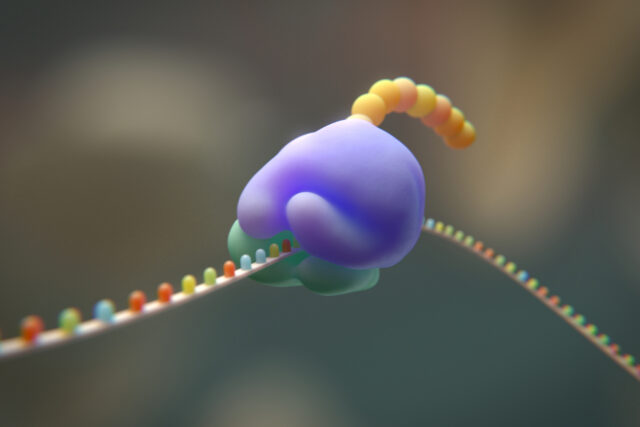Can Life Thrive with 19 Amino Acids? Unpacking a Bold Genetic Experiment