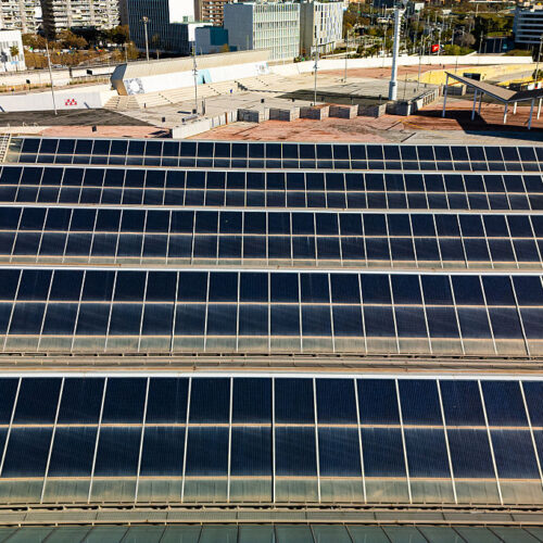 Renewables dominate 2025's newly installed generating capacity