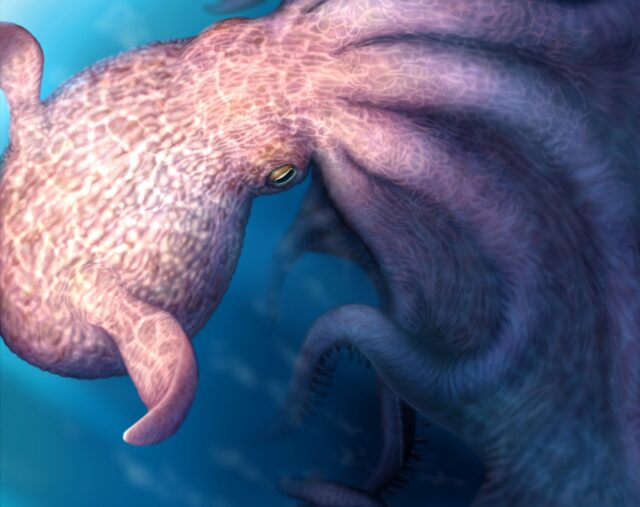 Meet the 19-meter Cretaceous kraken that swam with mosasaurs