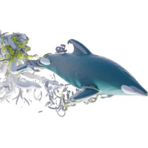 Research roundup: 6 cool science stories we almost missed