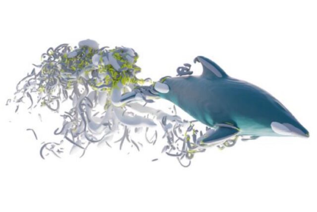 illustration of Hierarchy of vortices created by a swimming dolphin.