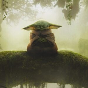 poster art showing yoda-like figure in silhouette sitting on a branch in a swamp