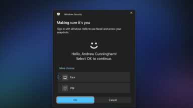 New Tool Exposes Security Flaws in Windows 11's Recall Feature