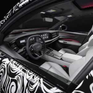 A car interior, the visible exterior is covered in black and white spiral camouflage