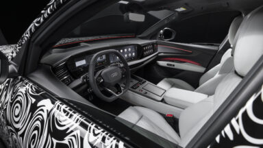 A car interior, the visible exterior is covered in black and white spiral camouflage