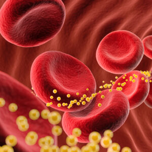 A cartoon of blood cells with cholesterol flowing through a blood vessel.
