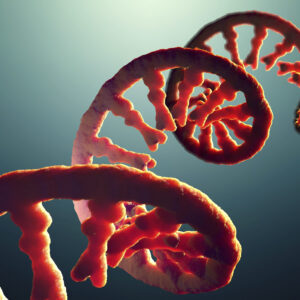 Messenger ribonucleic acid (mRNA) strand ,illustration