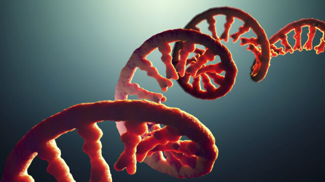 Messenger ribonucleic acid (mRNA) strand ,illustration