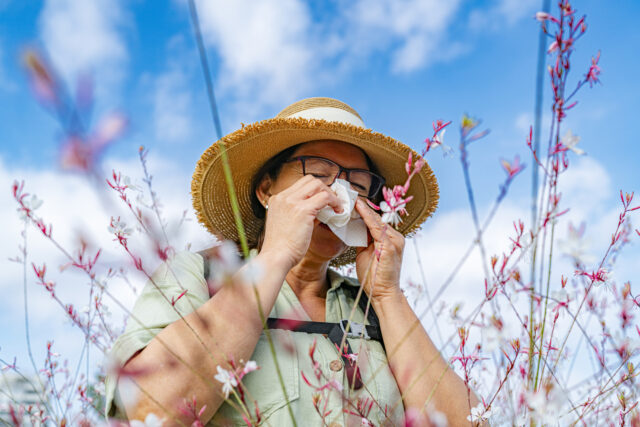 The Hidden Link: A Step-by-Step Guide to Climate Change and Seasonal Allergies