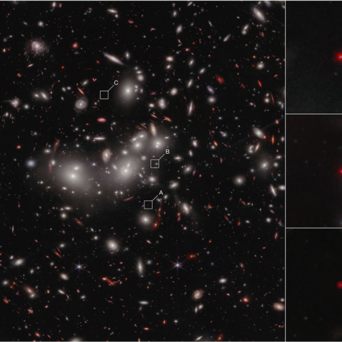 "Little red dot" in early Universe is a naked supermassive black hole