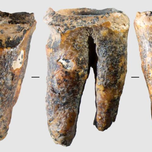 Neanderthals drilled cavities to treat a toothache 59,000 years ago