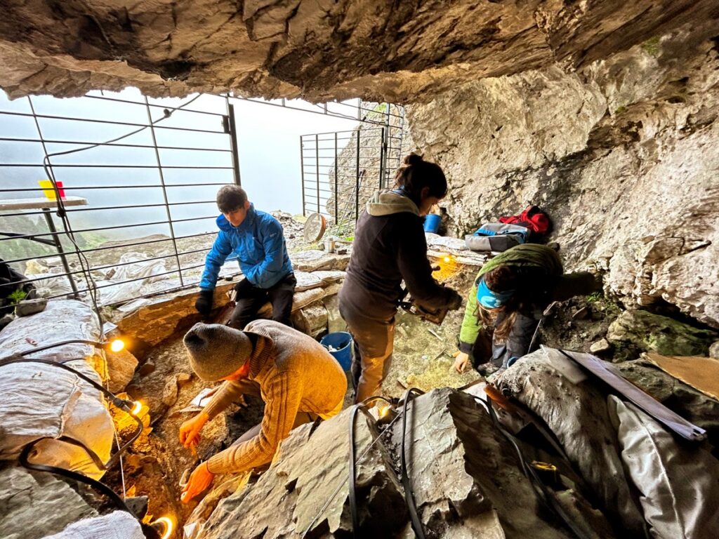 Archaeological excavation works at Cova 338