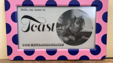 Dory Sign: The E-Ink Display Revolutionizing Communication