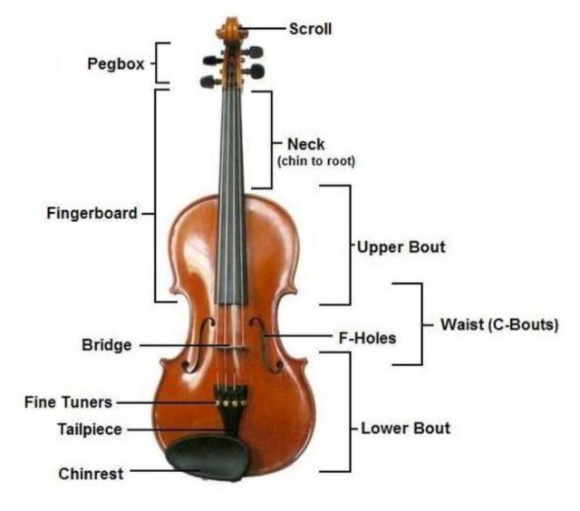 Making a violin