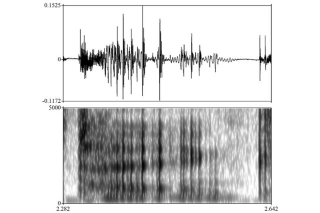Brain activity during speech perception and gender stereotype processing