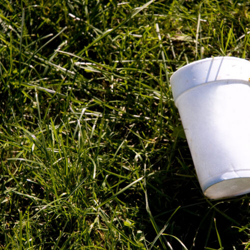 Your empty cuppa could capture carbon
