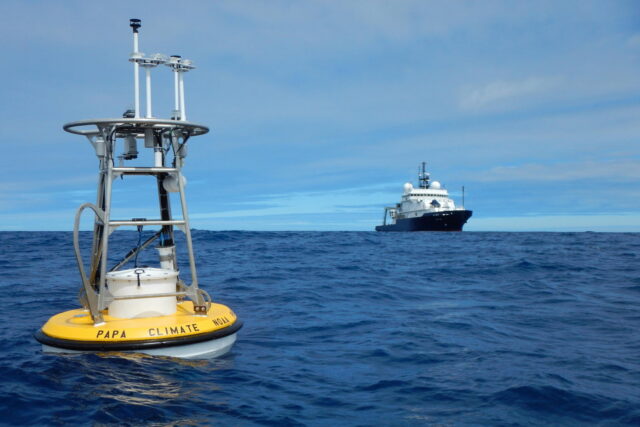 Buoy in the water
