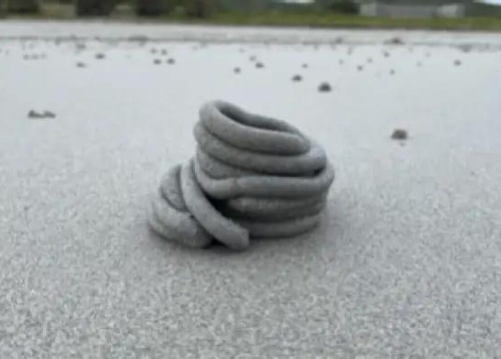 The excrement of a lug worm takes a shape that can be explained by the physics and mathematics of coiling ropes.