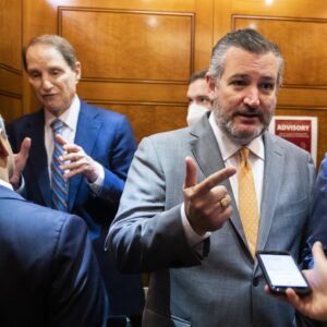 US Senators Ted Cruz and Ron Wyden speaking to people in the US Capitol.