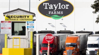Taylor Farms’ connections to Trump admin spurs probe intoCyclosporaresponse