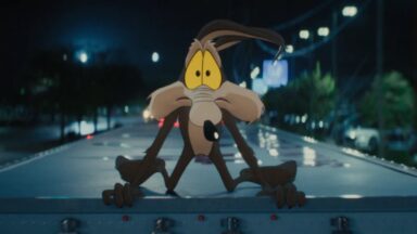 cartoon Wile E. Coyote on hood of car looking in window with a panicked wide-eyed expression