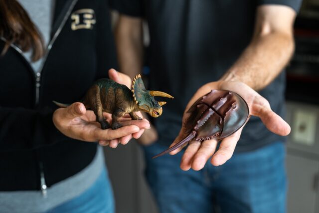Planetary scientists Brandon Johnson and Alexandria Johnson, experts in craters and clouds respectively, analyzed the physics of the Chicxulub impact to understand how one rock, even a big one, could have devastated an entire global ecosystem. Here they are shown holding two toy dinosaur figurines in their hands